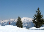 /Ski/2009/Images/1653/Photo 115Icon.jpg